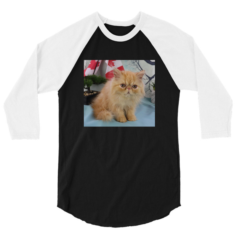 Red Tabby Persian 3/4 Sleeve Shirt | Artistshot