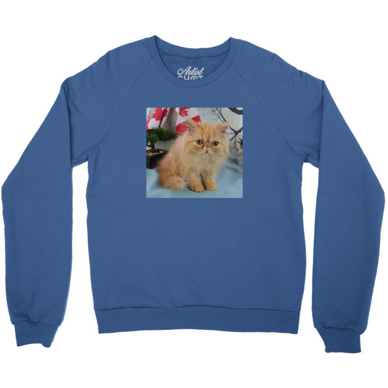 Red Tabby Persian Crewneck Sweatshirt | Artistshot