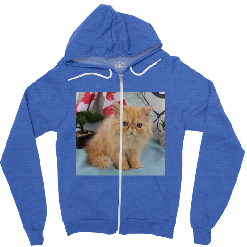 Red Tabby Persian Zipper Hoodie | Artistshot