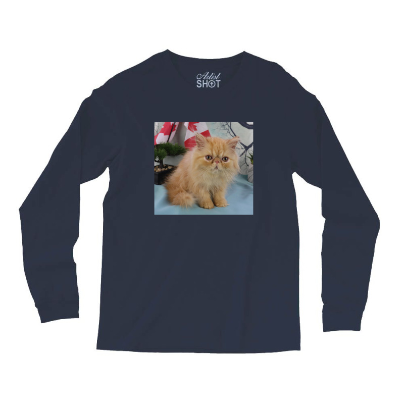 Red Tabby Persian Long Sleeve Shirts | Artistshot