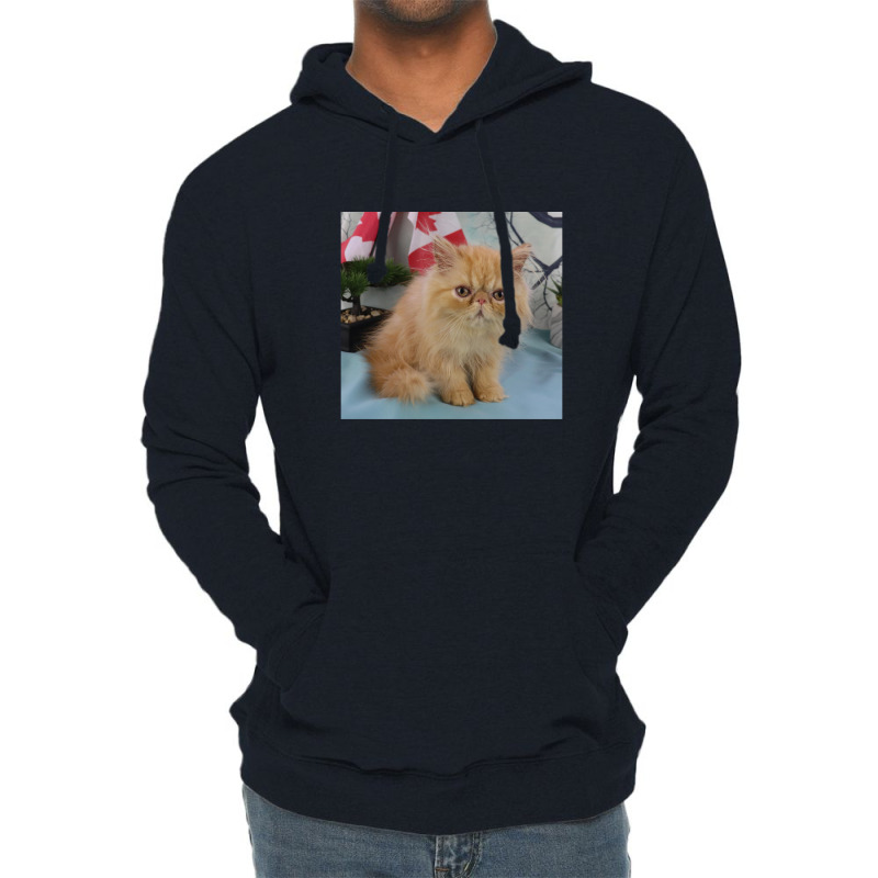 Red Tabby Persian Lightweight Hoodie | Artistshot