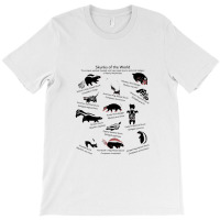 Skunks Of The World Species Of Mephitidae T-shirt | Artistshot