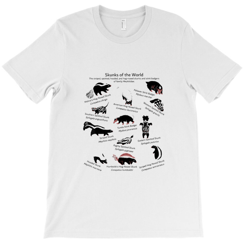 Skunks Of The World Species Of Mephitidae T-shirt | Artistshot