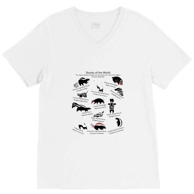 Skunks Of The World Species Of Mephitidae V-neck Tee | Artistshot