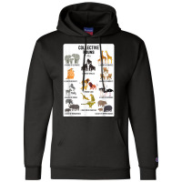 Collective Nouns Africa Animal Family Group Endangered T Shirt Champion Hoodie | Artistshot