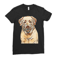 Labrador Retriever Dog On Isolated White Background In Studio Ladies Fitted T-shirt | Artistshot