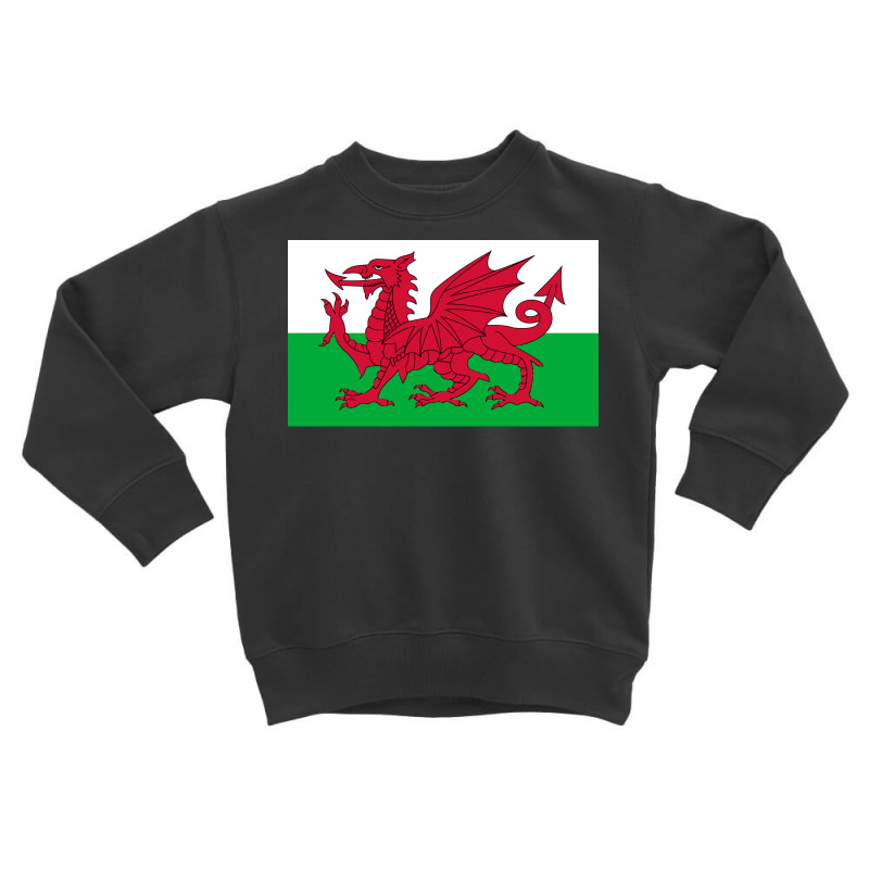 Wales National Flag Welsh Fan Bedspread Toddler Sweatshirt by PamelaAnnHarris | Artistshot