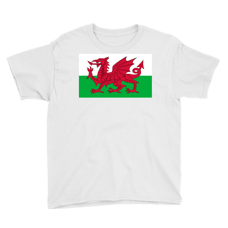 Wales National Flag Welsh Fan Bedspread Youth Tee by PamelaAnnHarris | Artistshot