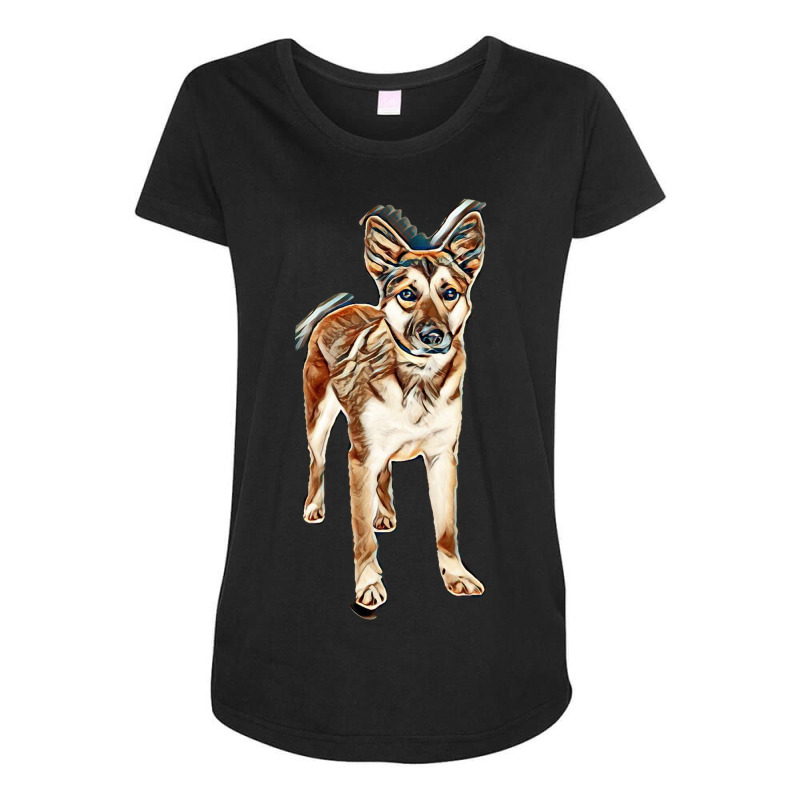 Pretty German Shepherd Crossbreed Dog Standing On White With Sad Expre Maternity Scoop Neck T-shirt by Kemnabi | Artistshot