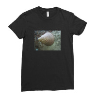 Photo Of Traditional Rice Cooker Ladies Fitted T-shirt | Artistshot