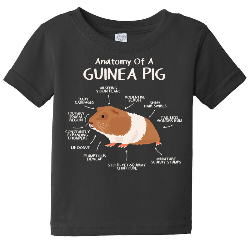 Anatomy Of A Guinea Pig Clothes Cavy Outfit Gift Guinea Pig Baby Tee | Artistshot