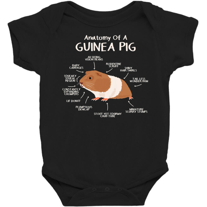 Anatomy Of A Guinea Pig Clothes Cavy Outfit Gift Guinea Pig Baby Bodysuit | Artistshot