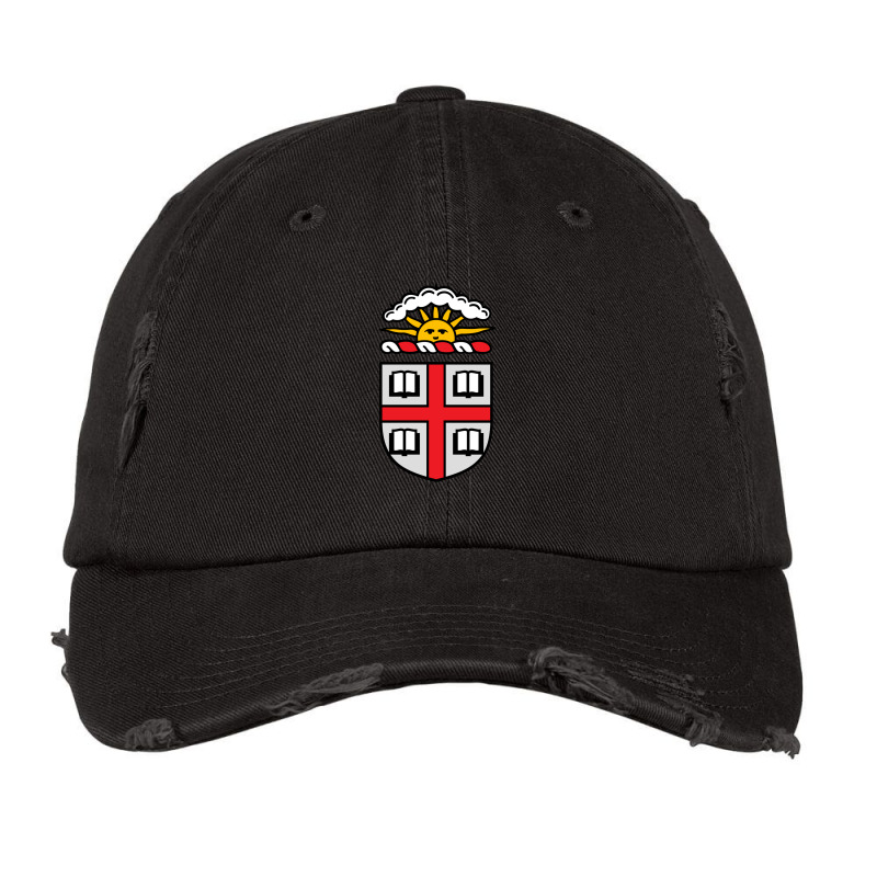 Brown university hat