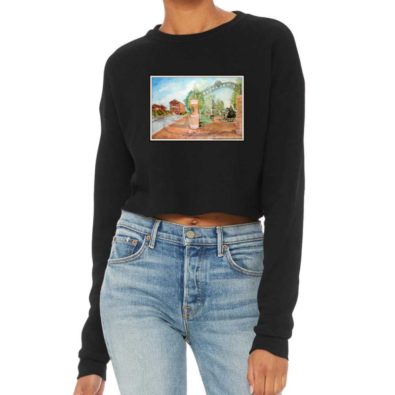 Garrett Park Cropped Sweater by agodraws | Artistshot