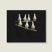 Mine! Seagulls From Finding Nemo Landscape Canvas Print | Artistshot