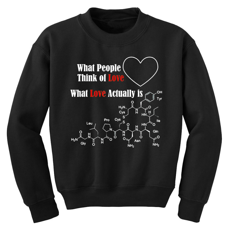 Funny Science T Shirt For Valentine Day Youth Sweatshirt | Artistshot