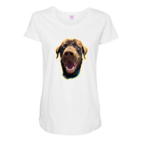 Dog Excitement Maternity Scoop Neck T-shirt | Artistshot