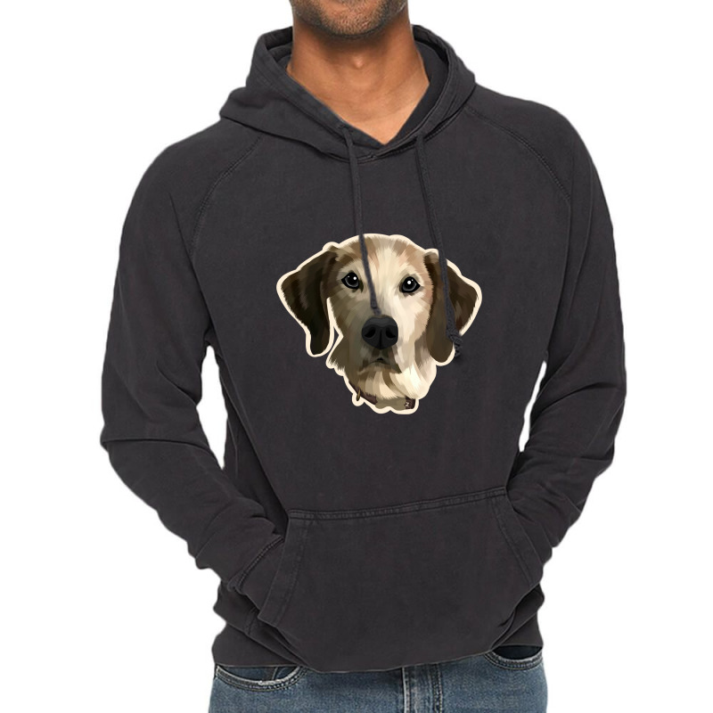 Dog Gawking Vintage Hoodie by mshel tyan | Artistshot