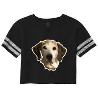 Dog Gawking Scorecard Crop Tee | Artistshot