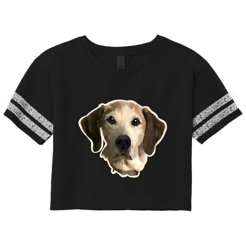 Dog Gawking Scorecard Crop Tee by mshel tyan | Artistshot