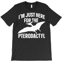 Cool Flying Dinosaur Pterodactyl T  Shirt1554 T-shirt | Artistshot