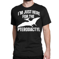 Cool Flying Dinosaur Pterodactyl T  Shirt1554 Classic T-shirt | Artistshot