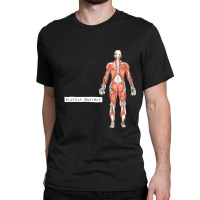 Study Your Gluteus Maximus Off Classic T-shirt | Artistshot