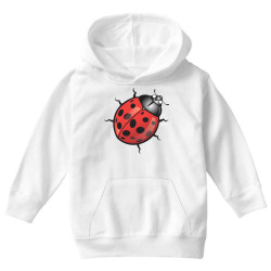 Ladybird, insect, animals Youth Hoodie | Artistshot