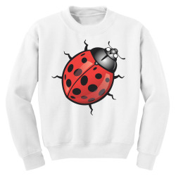 Ladybird, insect, animals Youth Sweatshirt | Artistshot
