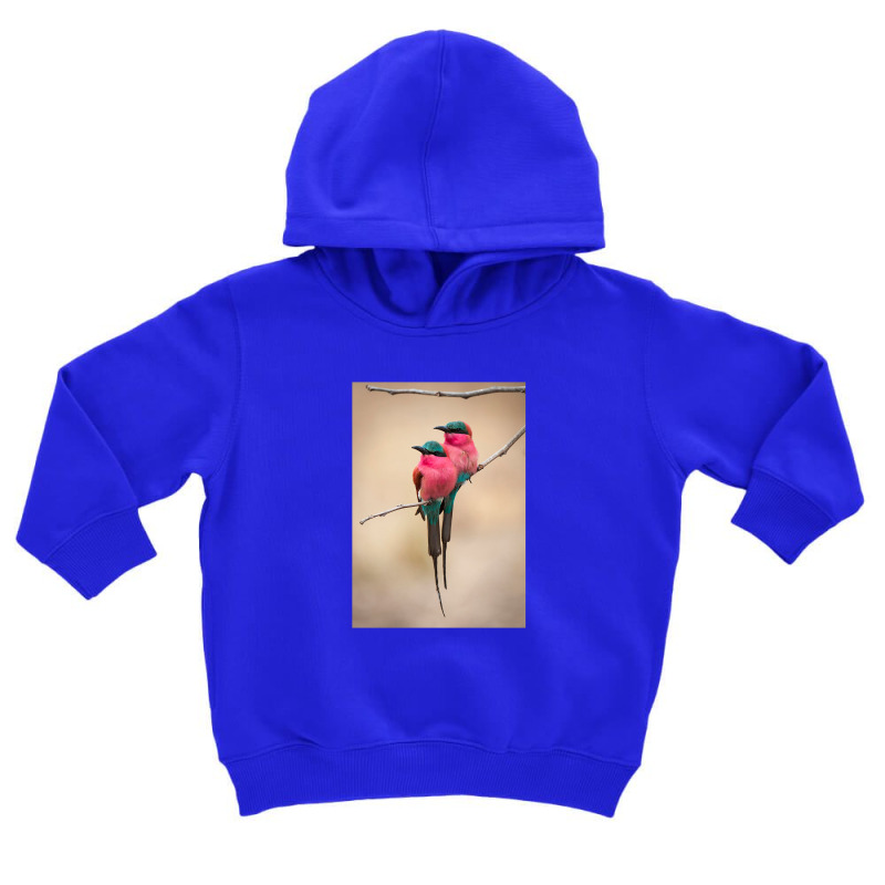 Puffy Bee Eaters Toddler Hoodie by cm-arts | Artistshot