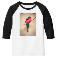 Puffy Bee Eaters Youth 3/4 Sleeve | Artistshot