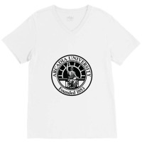 Arcadia University1 V-neck Tee | Artistshot