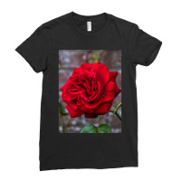 Red Rose And Red Brick Wall Ladies Fitted T-shirt | Artistshot