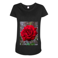 Red Rose And Red Brick Wall Maternity Scoop Neck T-shirt | Artistshot