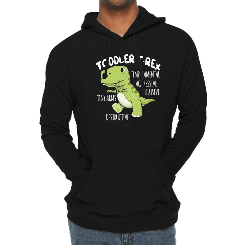 Dinosaur Gift Toddler T-rex Cute Birthday Kids Boys Lightweight Hoodie | Artistshot