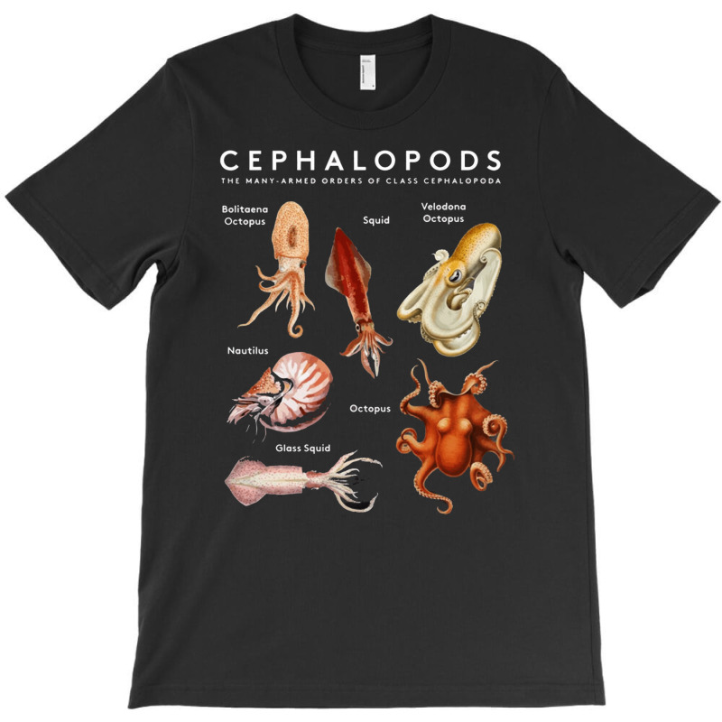 Kinds Of Octupus, The Cephalopod Octopus, Sea Creatures, Kinds Of Octu T-shirt | Artistshot