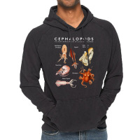 Kinds Of Octupus, The Cephalopod Octopus, Sea Creatures, Kinds Of Octu Vintage Hoodie | Artistshot