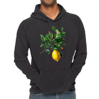 Lime Flower And Lemon, Lime Flower Lemon, Lemon, Lime Flower, Lime, Fl Vintage Hoodie | Artistshot