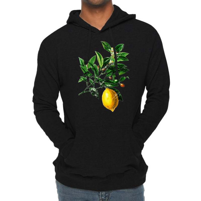 Lime Flower And Lemon, Lime Flower Lemon, Lemon, Lime Flower, Lime, Fl Lightweight Hoodie | Artistshot