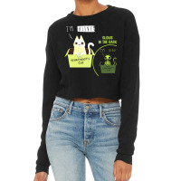 SchrÖdinger Night Cropped Sweater | Artistshot