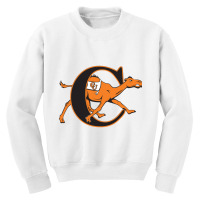 Campbell Fighting Camels Youth Sweatshirt | Artistshot