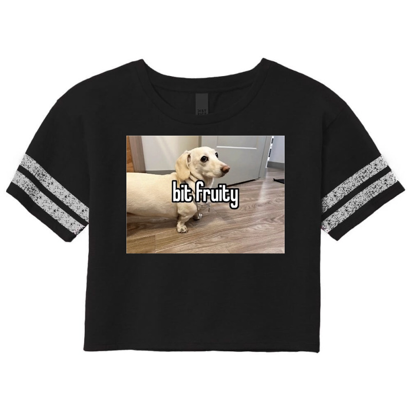 Custom Homophobic Dog Bit Fruity Classic Scorecard Crop Tee By Cm