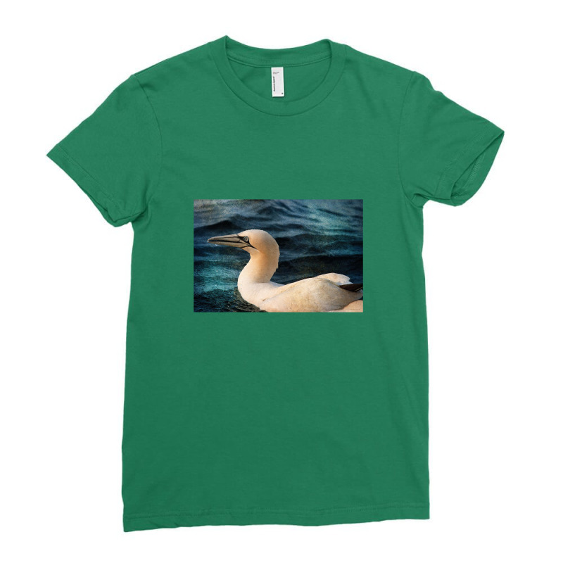 Gannet Swim Ladies Fitted T-Shirt by cm-arts | Artistshot