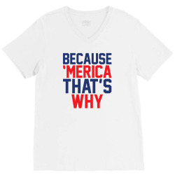 Because 'Merica That's why V-Neck Tee | Artistshot