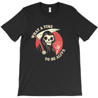 What A Time To Be Alive Classic T-shirt | Artistshot