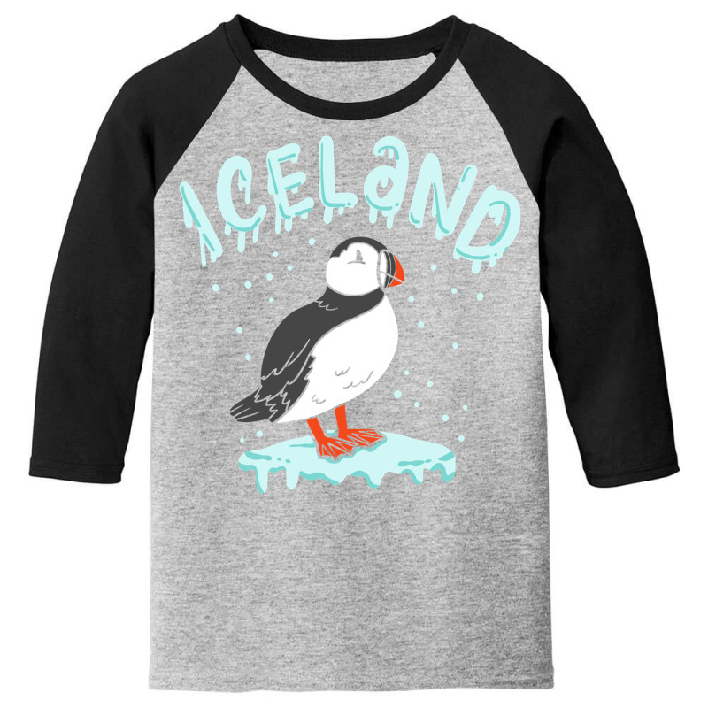 Iceland Puffin Travel Souvenir Cute Gift Sweatshirt Youth 3/4 Sleeve by cm-arts | Artistshot