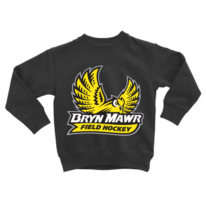 Bryn best sale mawr sweatshirt