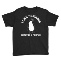 Funny Penguin Gift For Adults Women Men Him Seabird Lovers T Shirt Youth Tee | Artistshot