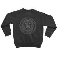 Capital Toddler Sweatshirt | Artistshot