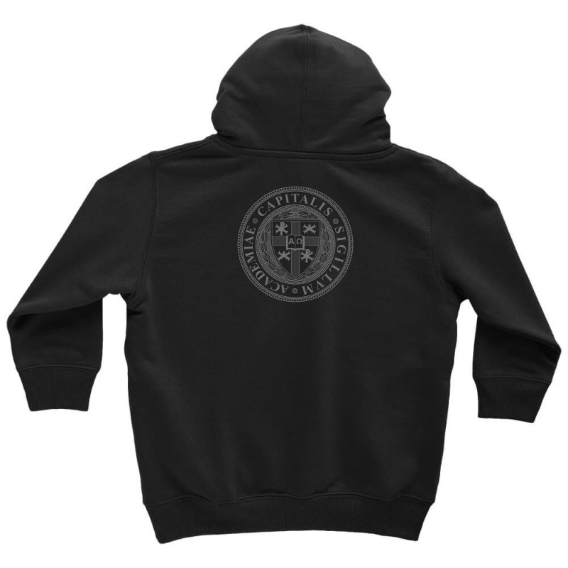 Capital Youth Hoodie by cm-arts | Artistshot